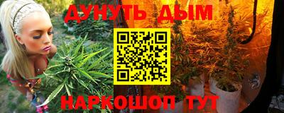 mdpv Заводоуковск